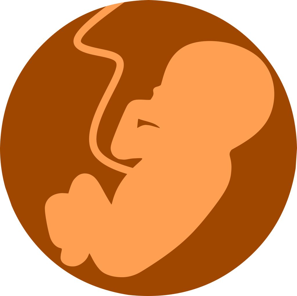 Sensorialité du fœtus – SensoriDys